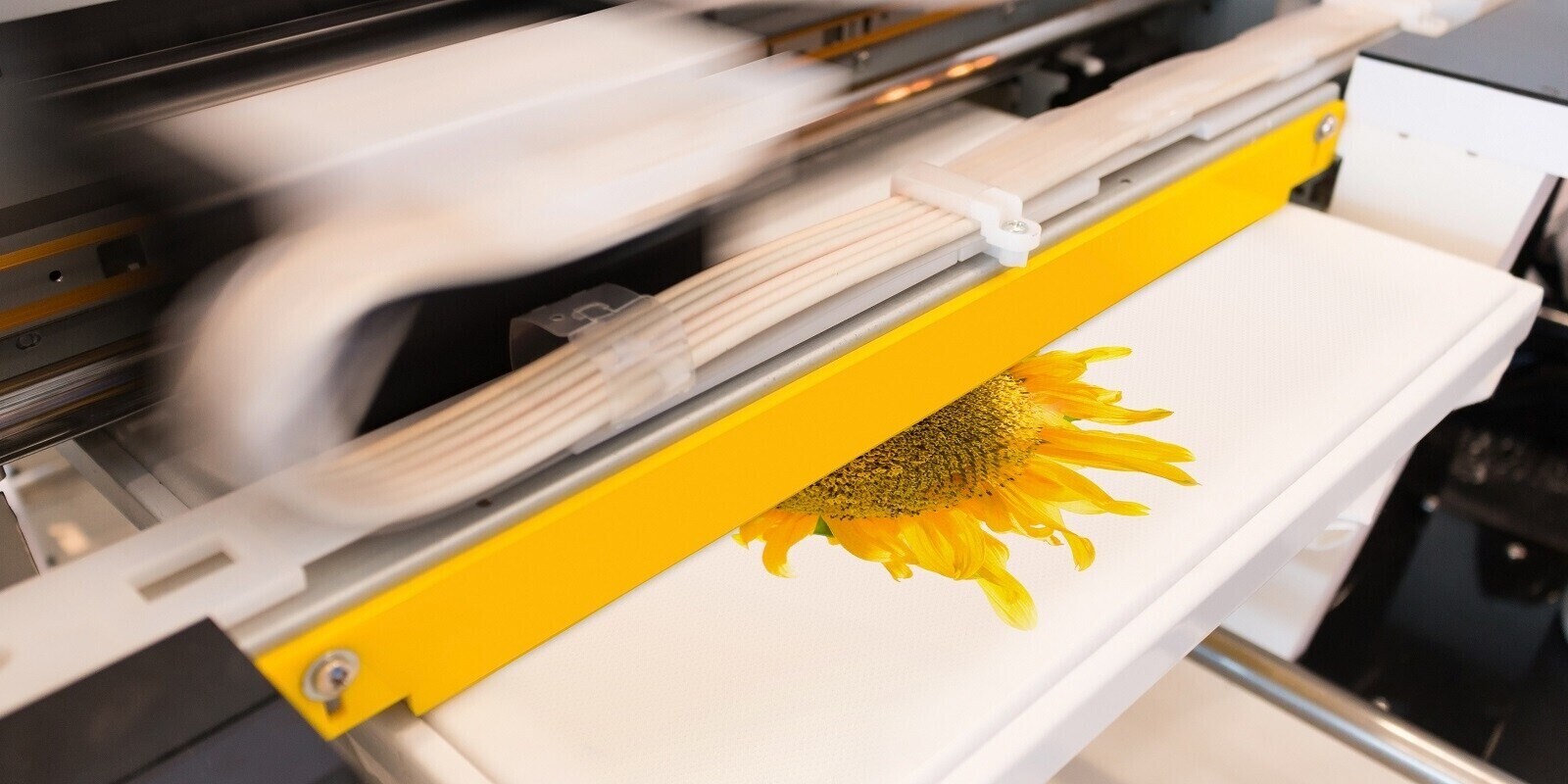 What Is Digital Printing? - Professional Graphics