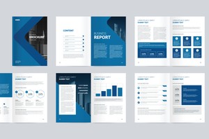 Demo business brochures for print marketing